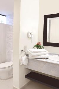 库埃纳瓦卡Casa Francisco的一间带水槽、卫生间和镜子的浴室