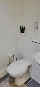 伯明翰City Centre 1 Bed Apartment的一间带卫生间的浴室和墙上的植物