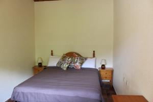 La Plana de Mont-RosCasa Teresina的一间卧室配有一张带两个枕头的床