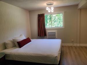阿伯茨福德阿伯茨福德旅馆的卧室配有白色的床和窗户。