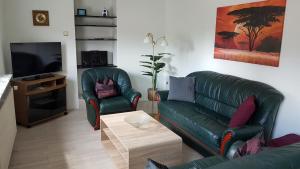 卡塞尔Ferienwohnung in Gartenlandschaft的客厅配有绿色沙发和电视