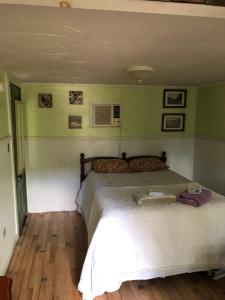 旧奥查德比奇海员宾馆和别墅的卧室内的一张床位,拥有绿色的墙壁
