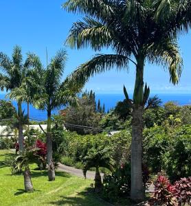 霍卢阿洛阿Hawaii Getaway的棕榈树在公园里,以海洋为背景