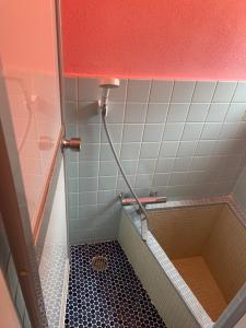 吴市SASAKOJIMA cottage的一间带排水管淋浴的浴室