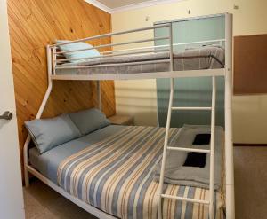 奥尔巴尼Sunrise House的一间卧室配有两张双层床。