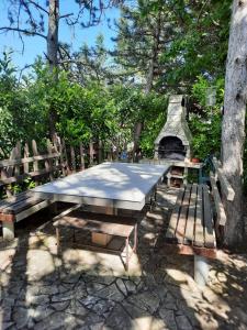 拉宾Apartman Kapelica的树前的野餐桌和长椅