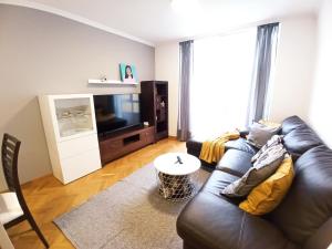 比韦罗Viveiro Muralla的客厅配有黑色真皮沙发和电视