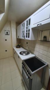 巴伊纳巴什塔PANORAMA的一个带水槽和台面的小厨房