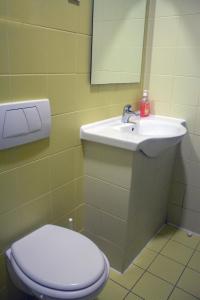 里耶卡HI Hostel Rijeka的一间带卫生间和水槽的浴室