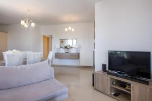 干尼亚Casa Magnolia - Spacious Home in heart of Akrotiri的带沙发和平面电视的客厅