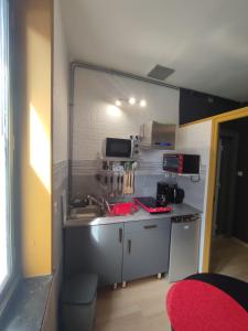 乐卡图Studio indépendant accès direct autonome.的一间带水槽和炉灶的小厨房