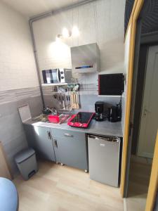 乐卡图Studio indépendant accès direct autonome.的一间小厨房,内设一个柜台