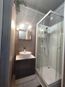 乐卡图Studio indépendant accès direct autonome.的一间带水槽和玻璃淋浴的浴室