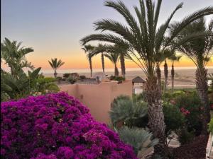 阿加迪尔Paradis Plage Pieds dans l'eau - Superbe Appartement的从带紫色花卉和棕榈树的度假村阳台上可欣赏到风景