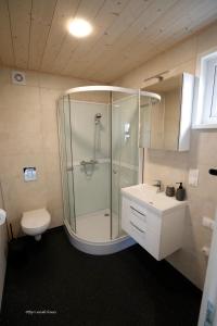 华姆斯唐吉Eyri Seaside Houses的带淋浴、卫生间和盥洗盆的浴室