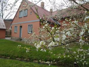 利波瓦拉尼Chata Elča的前面有一棵开花的树的房子
