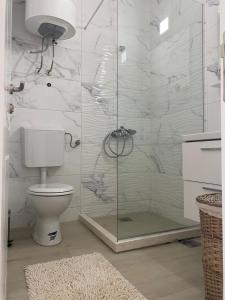 乌尔齐尼Rasi Luxury Apartments的一间带卫生间和玻璃淋浴间的浴室