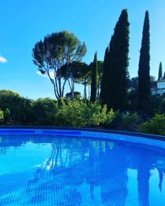 瓦洛里Domaine des Encourdoules的一座绿树成荫的蓝色天空游泳池