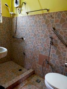 公主港Las Residencias Bed And Breakfast的带淋浴、卫生间和盥洗盆的浴室
