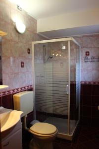 博德森特克Apartments Jožetov grič - FARM STAY的带淋浴、卫生间和盥洗盆的浴室