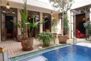 马拉喀什Riad Belle Epoque的一座在房子旁种满植物的游泳池