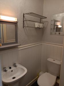 布莱克浦Stafford House的浴室配有白色卫生间和盥洗盆。