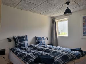 阿森斯Agermosegaard的卧室配有带枕头的床铺和窗户。