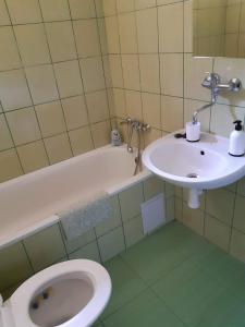 赫任斯科Lucerna的浴室配有盥洗盆、卫生间和浴缸。