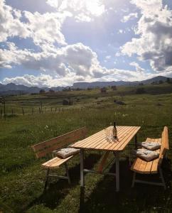 扎布利亚克Guest House Nena的一张野餐桌,配有一瓶葡萄酒和两把长椅