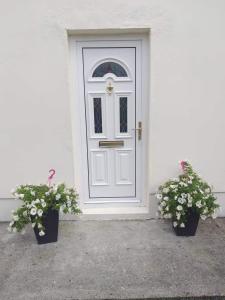 尼纳Dolla的前面有两棵盆栽植物的白色门