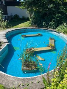 JonaGemütliches Chalet an bester Lage的庭院里的一个蓝色的小泳池