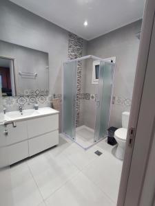 阿彻奇洛斯Nostalgia Apartment的带淋浴、盥洗盆和卫生间的浴室