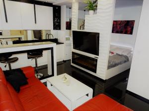 耶莱尼亚古拉Apartament Cieplicka的客厅设有红色的沙发和壁炉