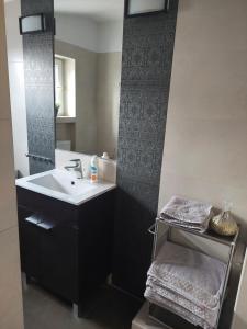 波兹南Christiana Andersena - apartamenty的一间带水槽和镜子的浴室