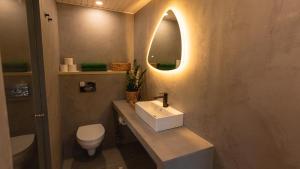 VihtraKääraPesa的一间带水槽、卫生间和镜子的浴室