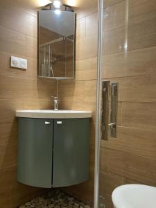 罗塞姆Les Pommiers - Chambres d'hôtes的浴室配有盥洗盆和带镜子的淋浴