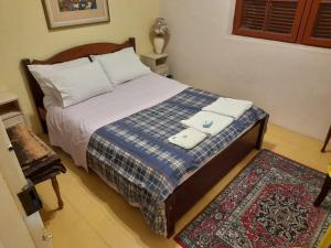 里奥格兰德Hostel Pousada Rheingantz Rio Grande的一间卧室配有一张带蓝色毯子和地毯的床。