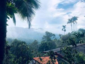 WattegamaNew Elkaduwa LOFT Hotel的从热带雨林的度假村欣赏到丛林景色