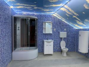 诺维萨德Relax and pool apartments Novi Sad的蓝色瓷砖浴室配有淋浴和卫生间。