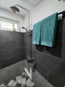 普纳奥亚Rava Lodge的带淋浴和绿毛巾的浴室