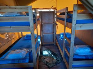 ZwiggelteComfort Safaritent Jungle - 6 personen的一间房间,设有三张双层床