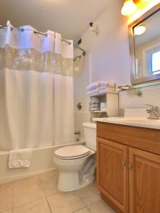 约克Sunrise Motel的浴室配有卫生间、盥洗盆和淋浴。