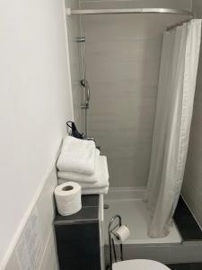 腓特烈港阿苏尔民宿的浴室设有卫生间和带毛巾的淋浴。