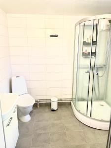 耶夫勒3 rooms with private kitchen & private bathroom 5B的带淋浴和卫生间的浴室