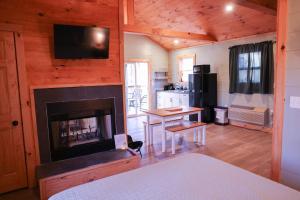 洛根Avenwood Cabins的客厅设有壁炉和电视。
