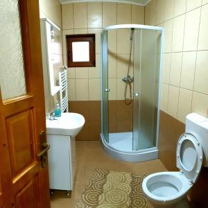 贝克良Cabana LaGică的带淋浴、卫生间和盥洗盆的浴室