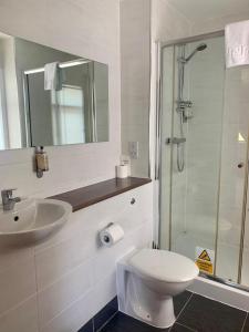 EllonNewburgh Inn的浴室配有卫生间、盥洗盆和淋浴。