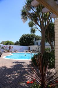 圣欧班广场酒店的一座游泳池,旁边是一座棕榈树