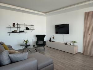 AntimácheiaVagiaNa apartment Διαμέρισμα κοντά στο αεροδρόμιο的客厅配有沙发和墙上的电视