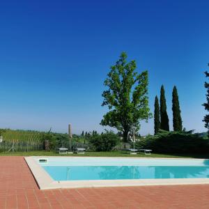 Pian dei CerriCASA PARTINGOLI的一座带两个长椅和一棵树的游泳池